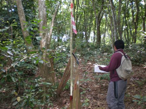 Beliau melindungi kerajaan dan situs2 pemakaman keluarga kekaisaran. DANISH AGENCY: PERKHIDMATAN UKUR TANAH DI NEGERI PAHANG