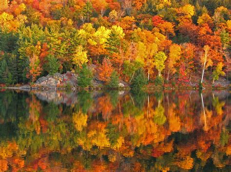 The Best Places To See Fall Foliage In New Hampshires Lakes Region
