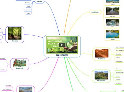 Ecosistemas Mind Map Images And Photos Finder The Best Porn Website