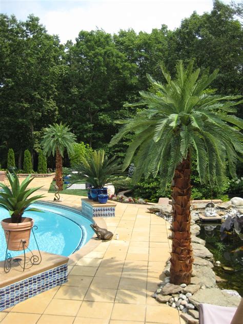 Backyard Pool With Palm Trees Ph