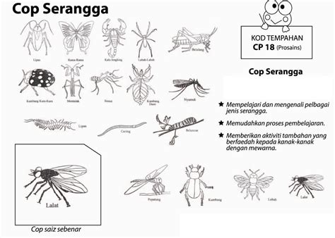 Menurut webmd, definisi tahi lalat cukup mudah. Kumpulan gambar untuk Belajar mewarnai: serangga lalat ...