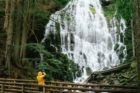 Discover The Dramatic Ramona Falls Hike In Mount Hood Oregon The