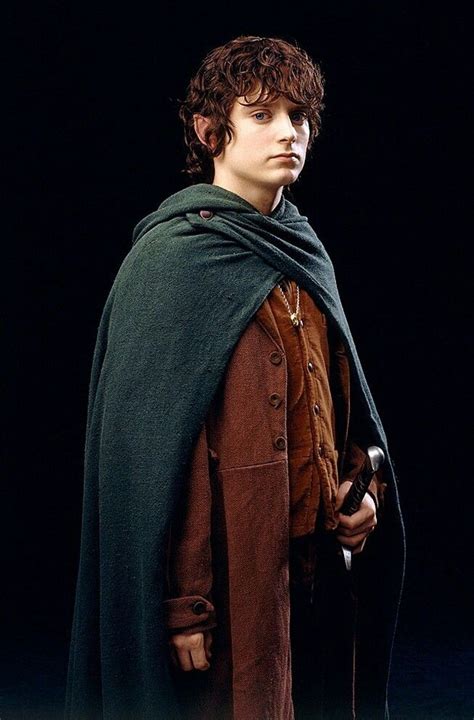 Frodo Baggins Frodo Baggins Lord Of The Rings The Hobbit