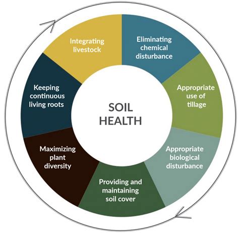 Soil Health Iroquois Valley