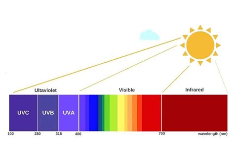 Everything You Should Know About Uvc Led Light