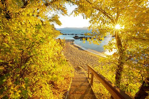 Autumn Steps Lake Tahoe Photograph By Brad Scott Fine Art America