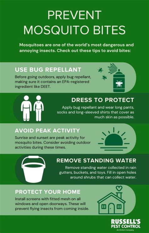 Mosquito Bite Prevention And Treatment Prevent Mosquito Bites