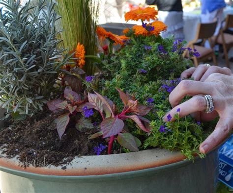 Creative Container Gardening Tips Ramblings From A