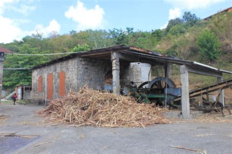 Dominica Macoucherie Rum Factory The Wanderlust Effect