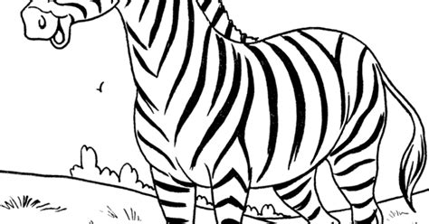 Gambar Gambar Mewarnai Zebra Anak Paud Tk Aneka di Rebanas - Rebanas