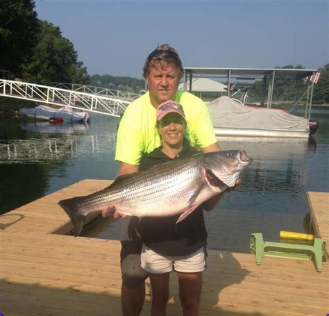 We specialize in chasing largemouth and smallmouth bass. Smith Lake: Striper Guides Smith Lake
