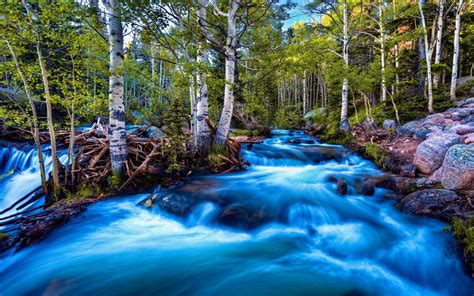 Forest Birch Blue Rushing River Long Exposure Hd Wallpapers 2560x1600