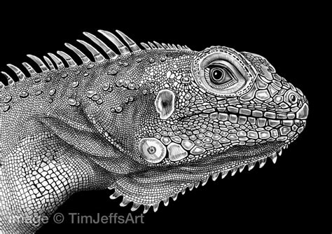 Maybe you would like to learn more about one of these? Tim Jeffs Art: Ink Drawings