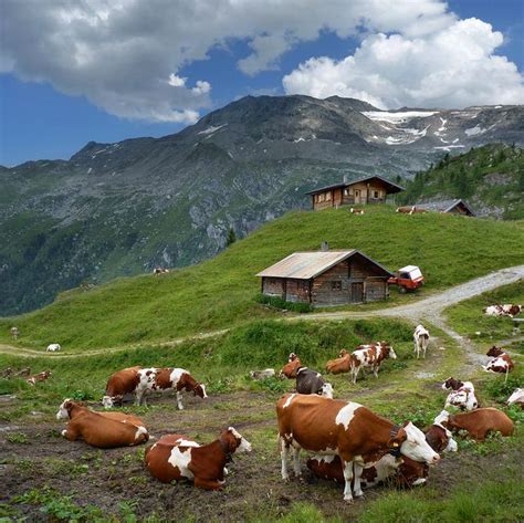 Austrian Mountain Farm At The Foot Of The Hintertux Glacier Places To