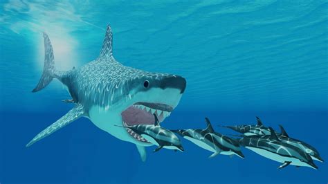 Largest Shark In The World Megalodon