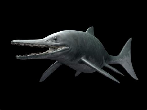Prehistoric Sea Monster Pictures National Geographic Sea Monsters