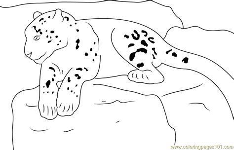 Snow Leopard Realxing Coloring Page For Kids Free Snow Leopard