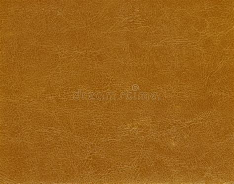Orange Color Leather Texture Stock Photo Image Of Artificial