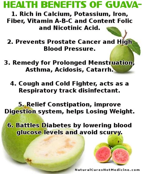 It helps in destroying the free radicals which are damaging your skin. Health Benefits of Guava! | Guava benefits, Guava health ...