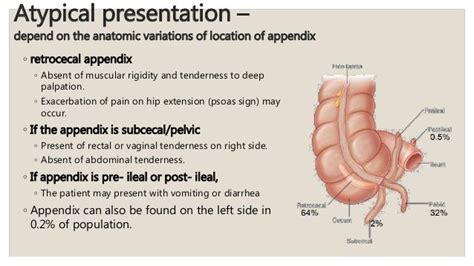 The Appendix Retrocecal Arterial Supply Appendicitis