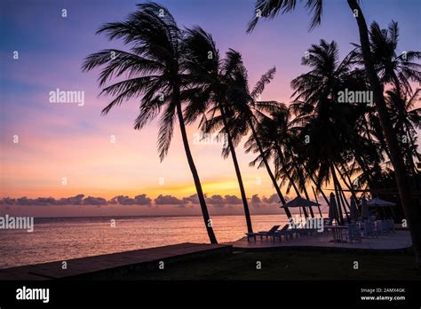 Palm Trees Sunrise Ocean Hi Res Stock Photography And Images Alamy