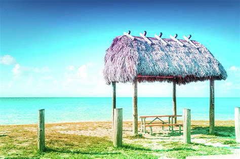 Thatched Roof Hut On Beach Photograph By Art Spectrum
