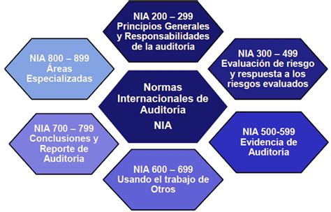 Enlace Auditor Nia 200 Objetivos Globales Del Auditor Independiente Y