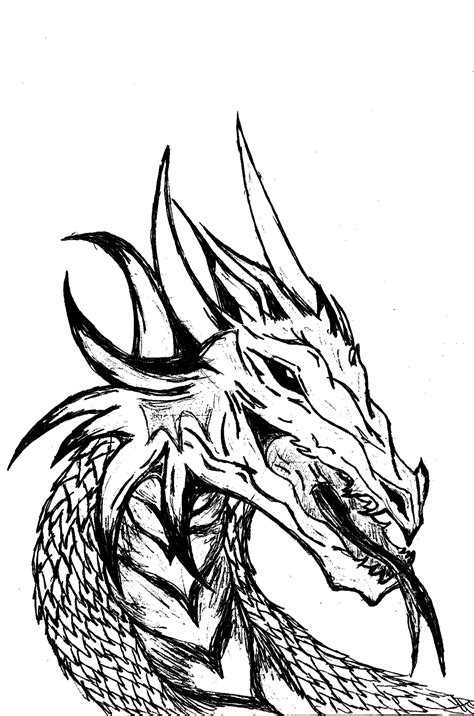 Black And White Dragon Drawing At Getdrawings Free Download