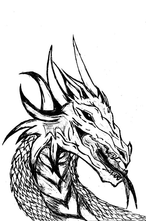 See more ideas about dragon, dragon drawing, drawings. Black And White Dragon Drawing at GetDrawings | Free download