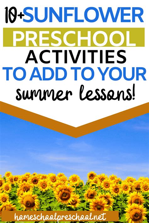 Sunflower Preschool Activities Preschool Activities Summer Lesson