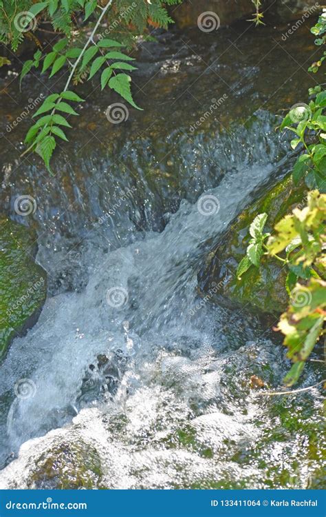 Water Rushing Downstream From Waterfall Stock Photo Image Of Flowing