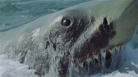 Jaws, a 1975 american film directed by steven spielberg based on the novel; Gods & Monsters: Teenage Kicks in Jaws 2 (1978 ...