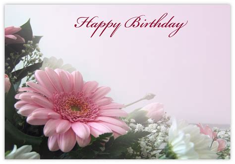 Happy Birthday Pink Daisy 60mm X 90mm Florist Cards Celloexpress