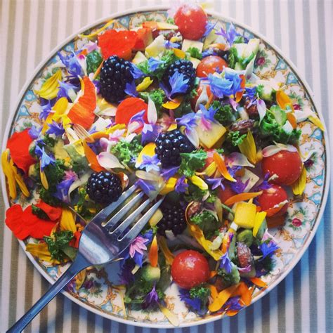 This is a list of edible flowers. Colorful flower salad (List of edible flowers + recipe in ...