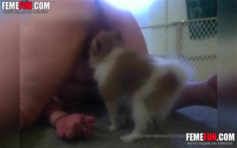 Big Titted Wife Lets Small Dog Lick Her Clean