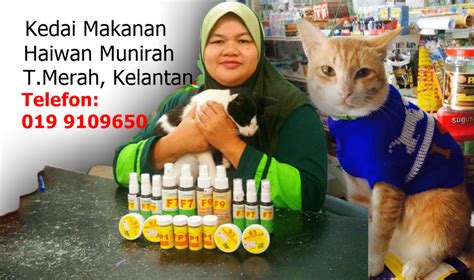 For faster navigation, this iframe is preloading the wikiwand page for haiwan ternakan. Kedai Makanan Haiwan Munirah | PS Herbs Kelantan