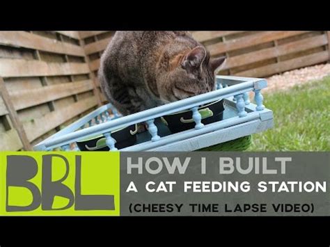 None of the cat feeders comes marked as raccoon proof. How to skunk-proof a feral cat feeding station | Doovi