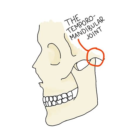 Tmj Jaw Pain And Clicking