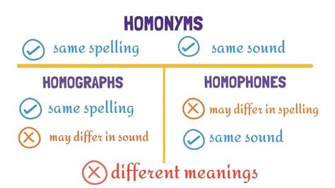 Homonyms Homographs And Homophones With Voice Over Youtube