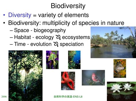 Ppt Biodiversity Evolution L8 Powerpoint Presentation Free
