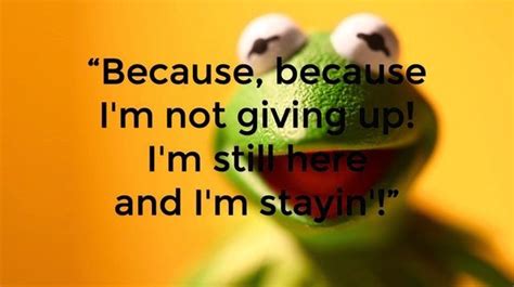 9 Inspirational Quotes From Kermit The Frog 81715 Ninefrogs