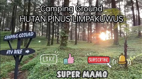 Camping Ground Hutan Pinus Limpakuwus Baturaden Youtube