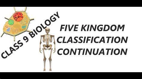 Class 9 Biology Continuations On Five Kingdom Classification Youtube