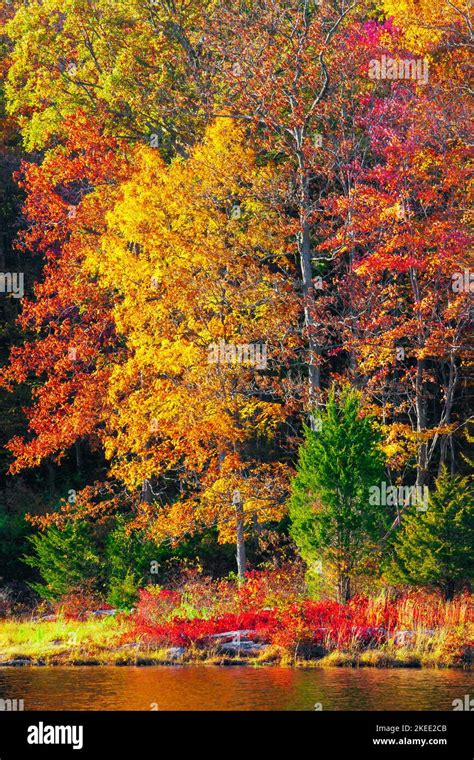 Blue Mountain Lake New Jersey Just Off The Appalachian Trail Was