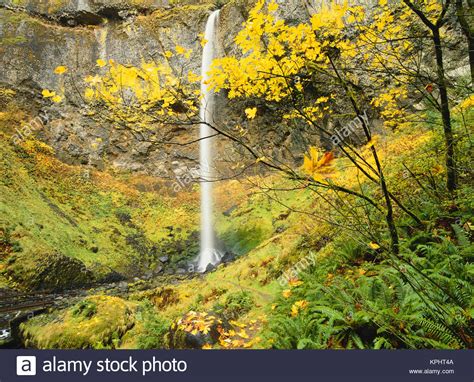 Oregon Columbia Gorge National Scenic Area Elowah Falls In Autumn