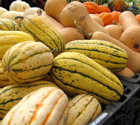 Move Over Pumpkin A Guide To Cooking Winter Squash Learn To Cook