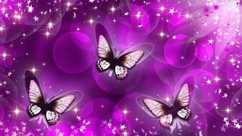 Purple Butterfly Backgrounds 55 Images