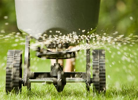 Lawn Care Tips For A Prize Winning Yard Bob Vila