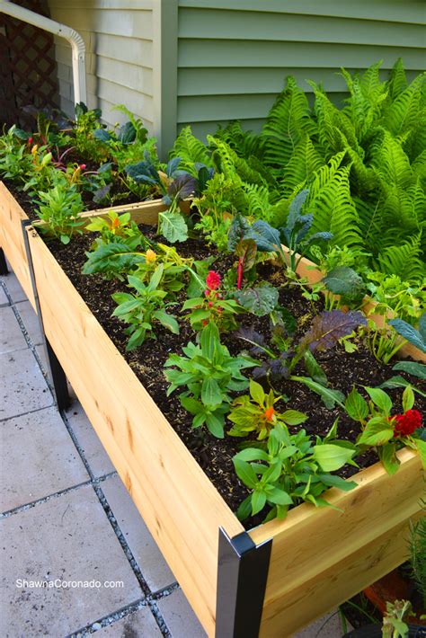 Raised garden bed plans pin on construct101 pdf waist high planter how to build tall beds for your with bench 4 x 8 elevated box my love 2 wood dog counter height boxes by janet free diy. How To Plant an Elevated Garden Bed ⋆ Shawna Coronado