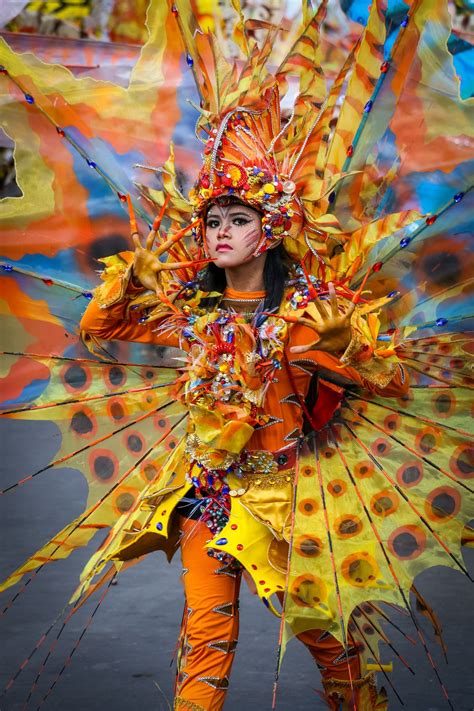 Jfc 4074 Jember Fashion Carnaval Fish Costume Carnival Costumes